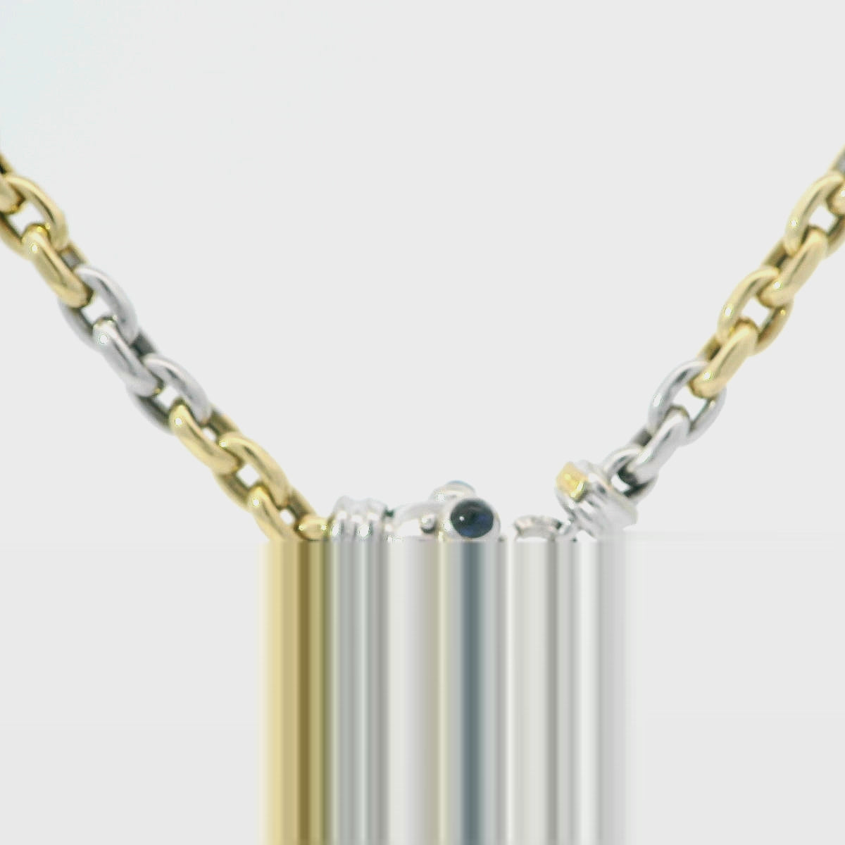 Elegant Two-Tone Necklace